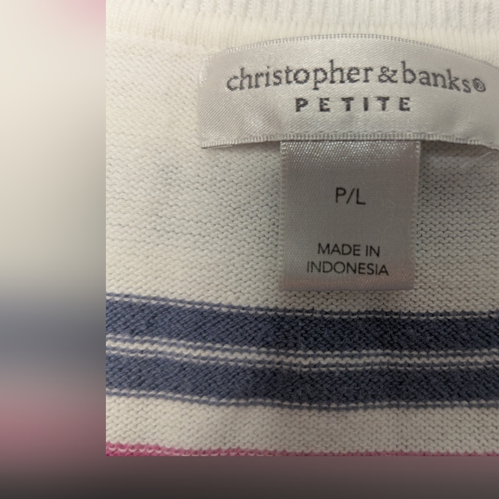 Christopher & Banks Petite Large Womens V Neck Lightweight Striped Sweater Top - Picture 4 of 11